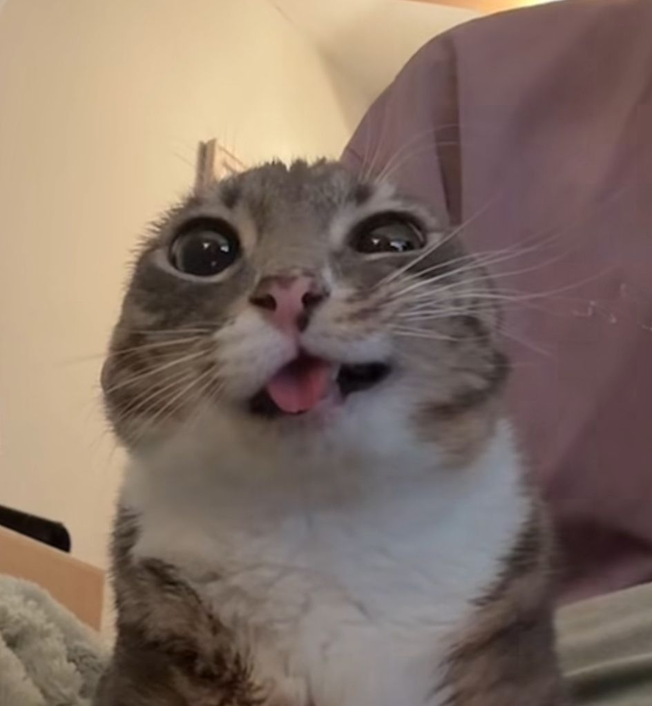 skippjg