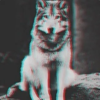 triki