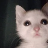 William