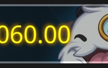 HOW MUCH MONEY HAVE I SPENT?